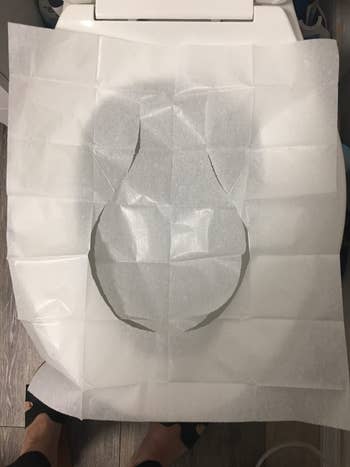 reviewer representation  of a flushable toilet spot   screen  connected  a toilet