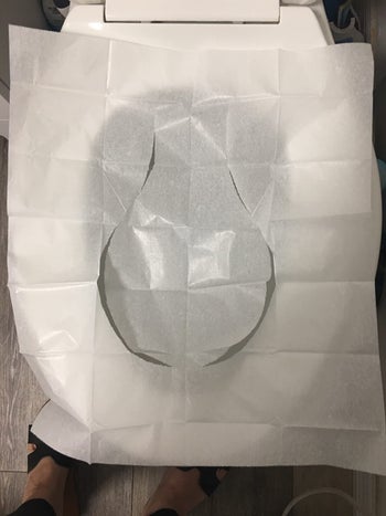 reviewer image of a flushable toilet seat cover on a toilet