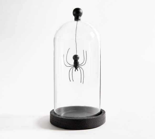 cloche with hanging spider inside 
