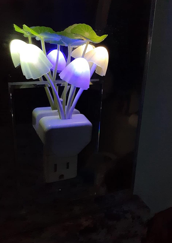reviewer image of the nightlight plugged in at night