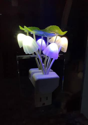reviewer image of the nightlight plugged in at night