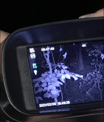 Closeup of the screen on the binoculars capturing image at night 