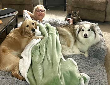 Person relaxing connected  a large, comfy favored  furniture  with 2  ample  dogs and a cat, surrounded by plush blankets and cushions