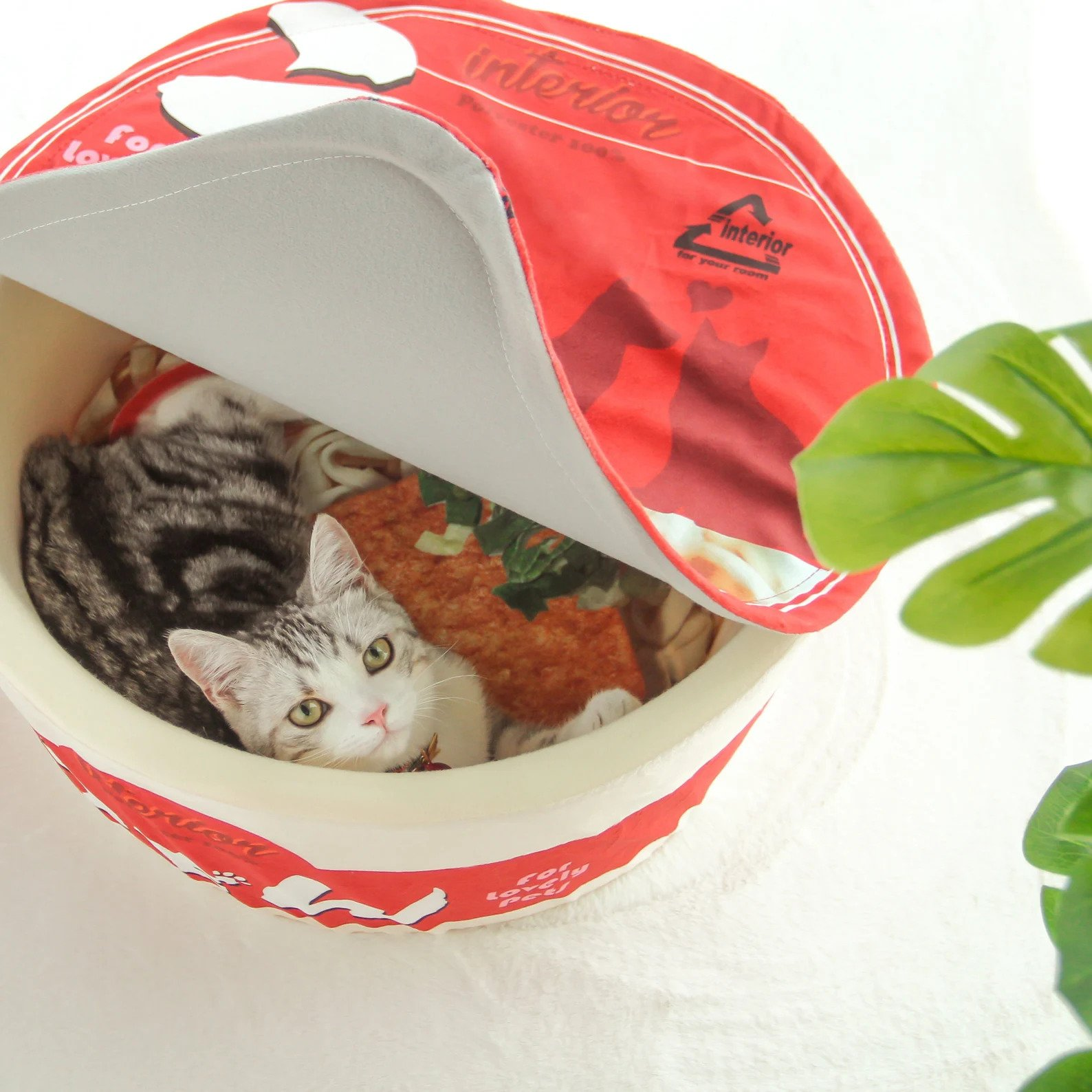 cat bed ramen bowl