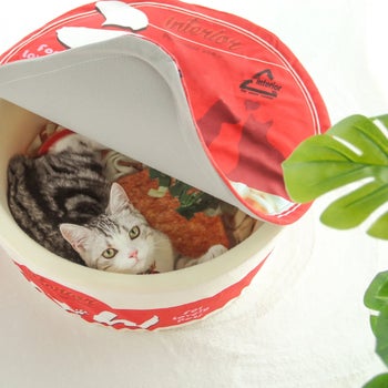 Cat in red noodle bowl pet bed displaying noodle cushion