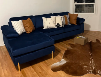 reviewer photo of navy blue couch