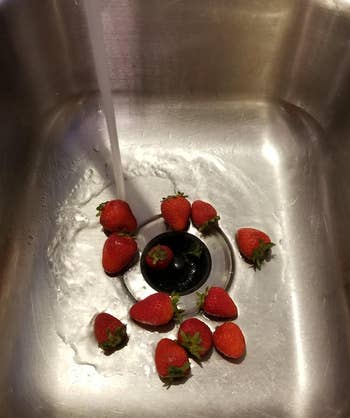 reviewer photo of the sink strainer inside of a running sink catching strawberries