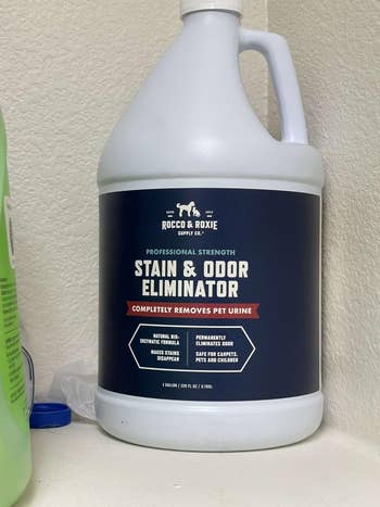 the gallon of stain remover