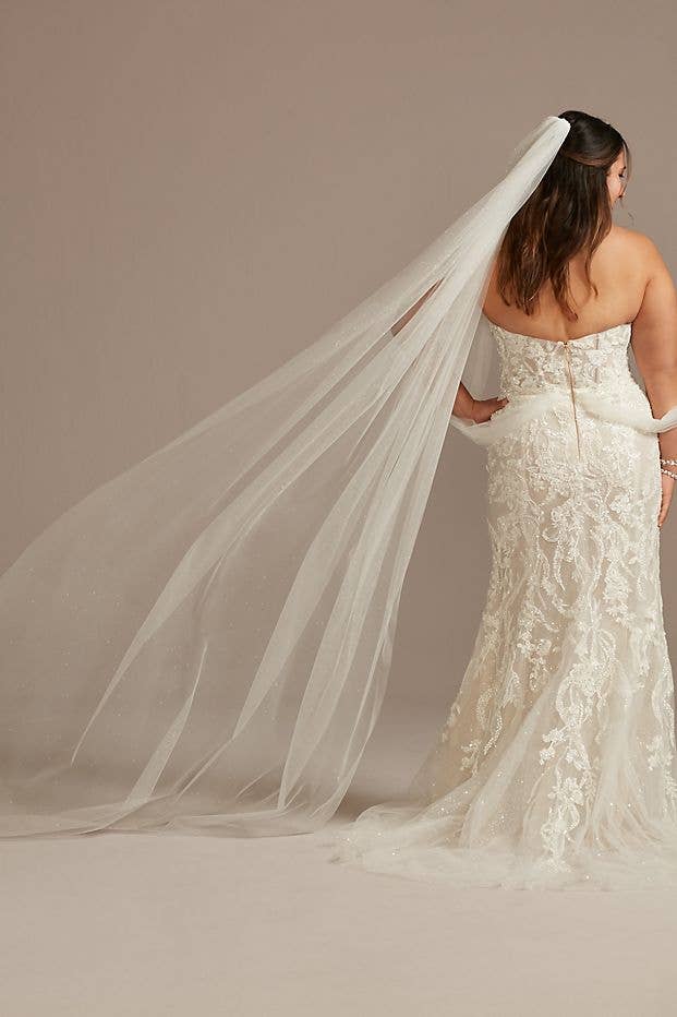 Model is wearing a wedding dress and a long glittery veil