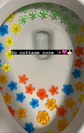 Plastic angiosperm decals arranged wrong a toilet vessel with a caption reading,