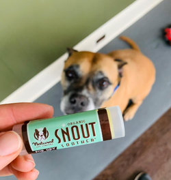 reviewer holding snout soother stick with dog in the background