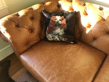 close up shot of the leather