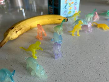 41 Weird Things To Create Your Own Oddity Museum