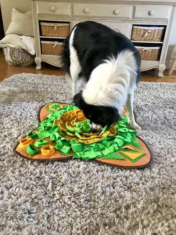 A reviewer's dog interacts with a snuffle mat on a carpet, searching for treats as a stimulating activity