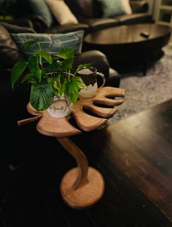 monstera plant stand