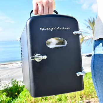 Person holding a compact, portable Frigidaire mini fridge near the ocean on a sunny day