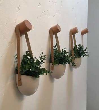 Reviewer pic of the hooks with plants hanging off them