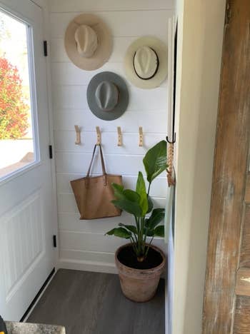 four hangers in an entryway; one holding a bag