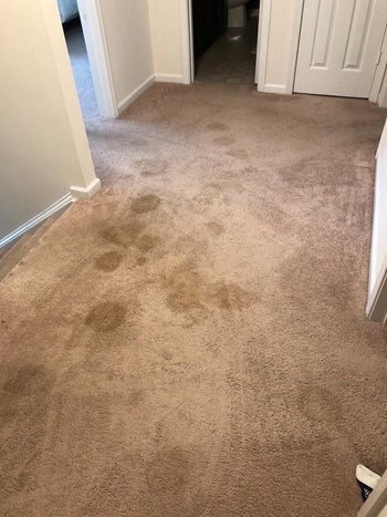 reviewer before photo showing a dirty carpet with lots of stains