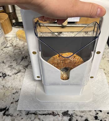 Reviewer pushing down on their bagel guillotine, about to slice their bagel in half