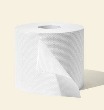 an unwrapped roll of toilet paper 