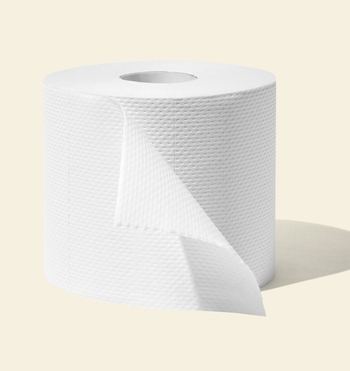 an unwrapped roll of toilet paper 