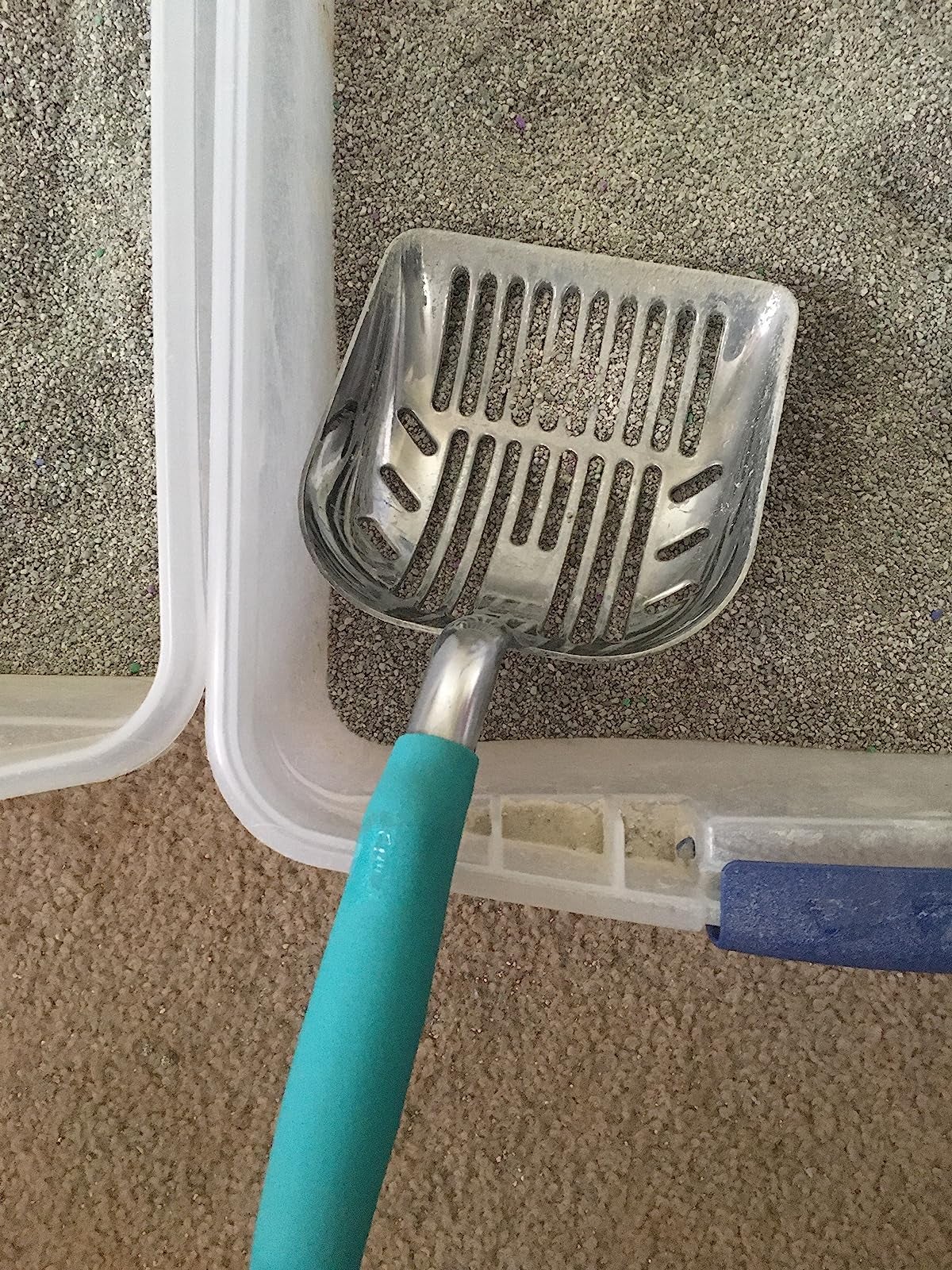 A reviewer's scoop in a litter box