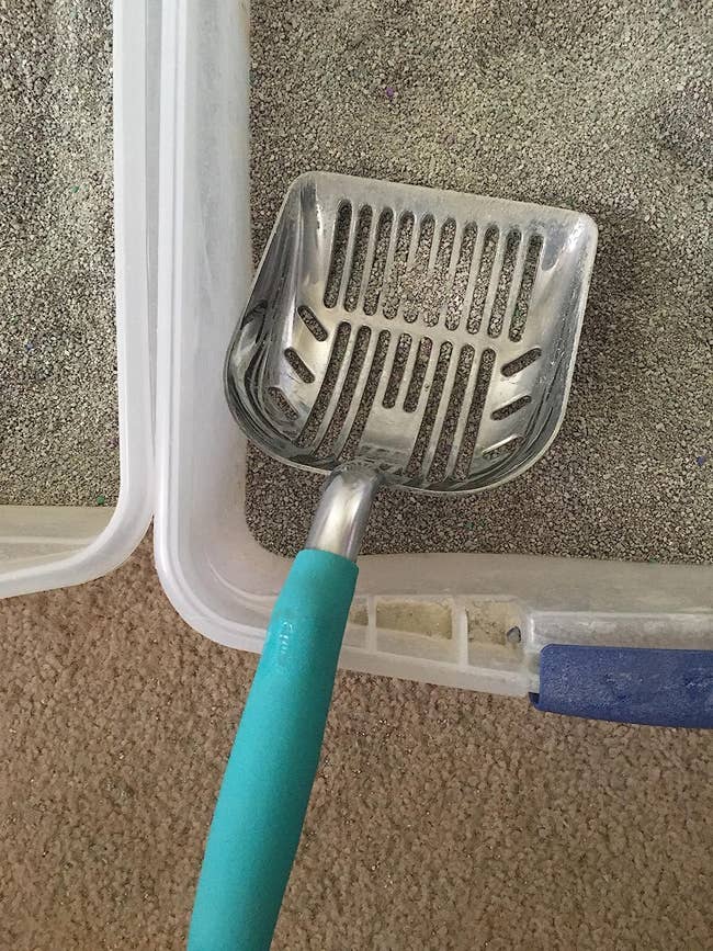 A reviewer's scoop in a litter box