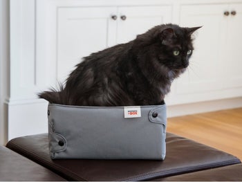 cat sitting in gray compression box