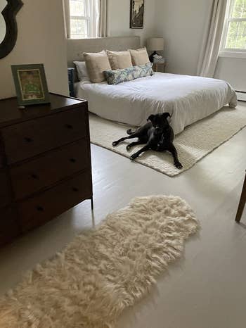reviewer's rug in bedroom