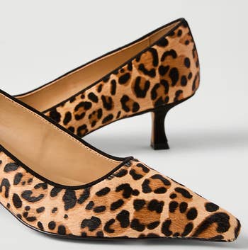 Leopard-print kitten heels with pointed toes and debased heels, suitable for stylish and comfy fashion