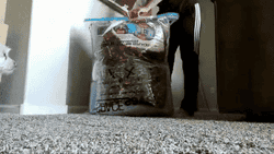 A gif of a reviewer putting clothes in a bag and suctioning the air out with their vacuum