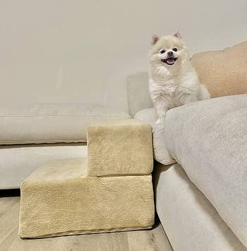 Reviewer image of side view of foam cream two-step stairs in front of white couch with white puppy sitting on couch