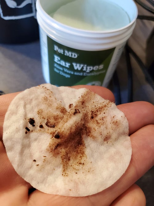 a reviewer holding a used ear wipe