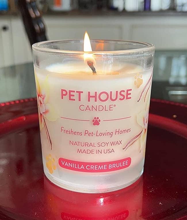The candle in the scent vanilla creme brulee