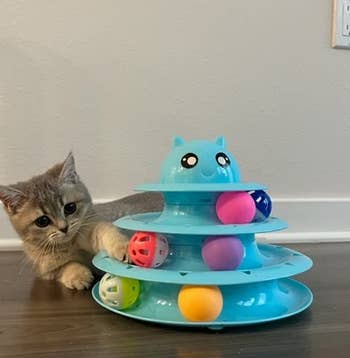 reviewer's cat lying on its side playing with the ball tower