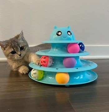 reviewer's cat lying on its side playing with the ball tower