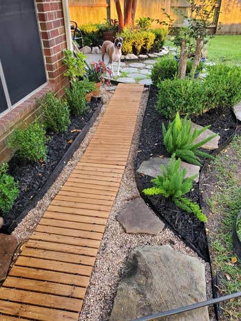 A backyard garden with a wooden pathway surrounded by plants and rocks. A dog stands at the end of the path looking toward the camera