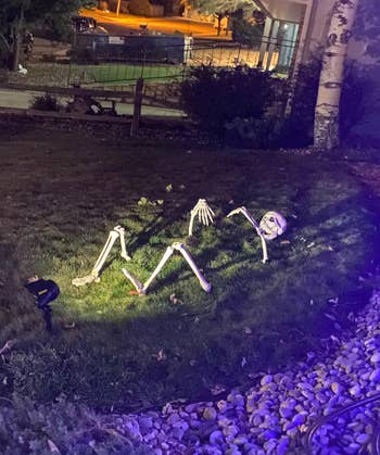 reviewer's skeleton arranged on a yard looking partially buried, with a spotlight on it