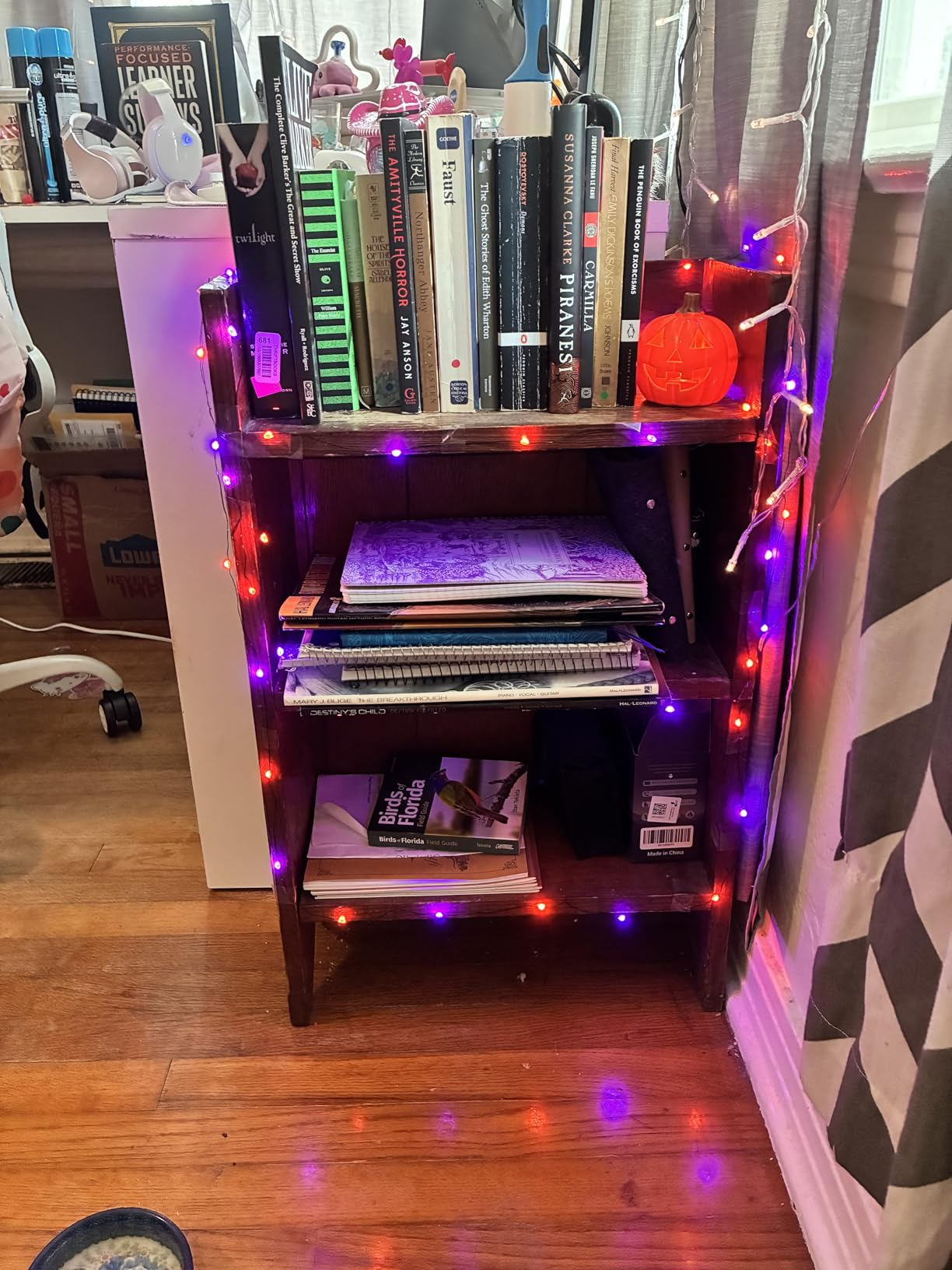 Bookshelf styled with assorted  books, magazines, and decorative drawstring  lights for a cozy speechmaking  nook