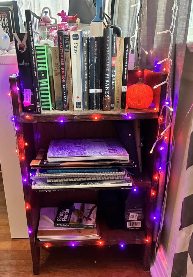 Bookshelf styled with assorted books, magazines, and decorative drawstring lights for a cozy speechmaking nook