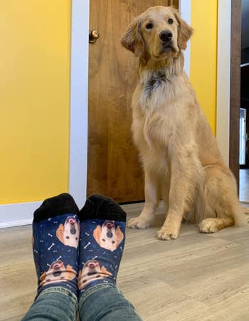 another reviewer wearing navy socks with golden retriever on them and the actual dog in the background