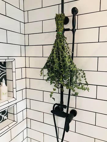 a eucalyptus bundle in a shower