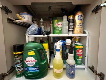A variety of household cleaning products are organized inside a cupboard, including detergents, sprays, and powders