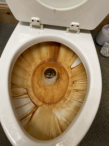 the inside of a reviewer's toilet looking rusted and dirty