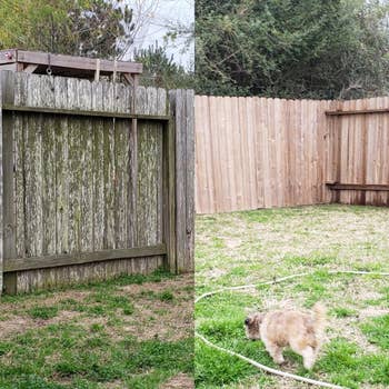 left: reviewer before photo of stained, dull wood fence / right: same fence looking bright and clean after using pressure washer