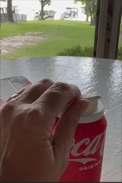A manus  opening   a Coca-Cola tin  connected  a rainy patio with a presumption    of a water  and boats successful  the background