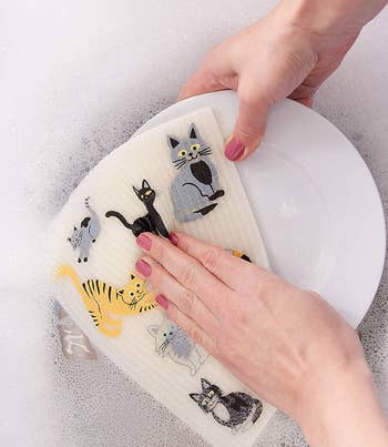 model washing a plate with a cat-print dishcloth