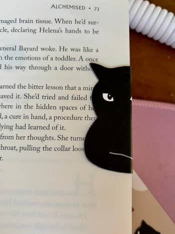 Cat-shaped bookmark peeks from a book, leafage reads