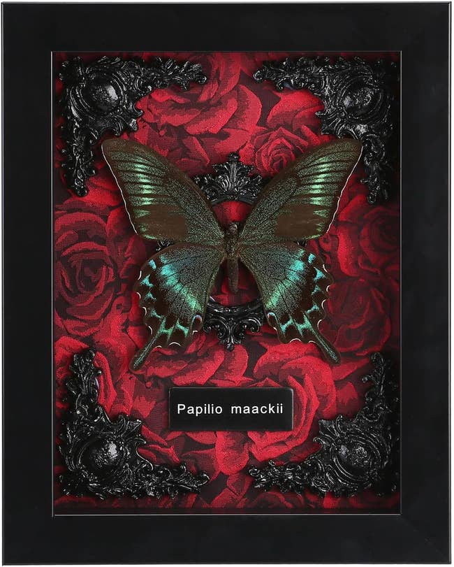 Butterfly on red floral pattern in black gothic-style frame, labeled 